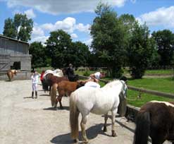 poneys