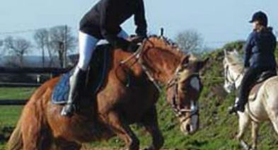 Adultes et chevaux