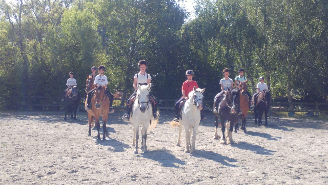 Cours galop 3-4