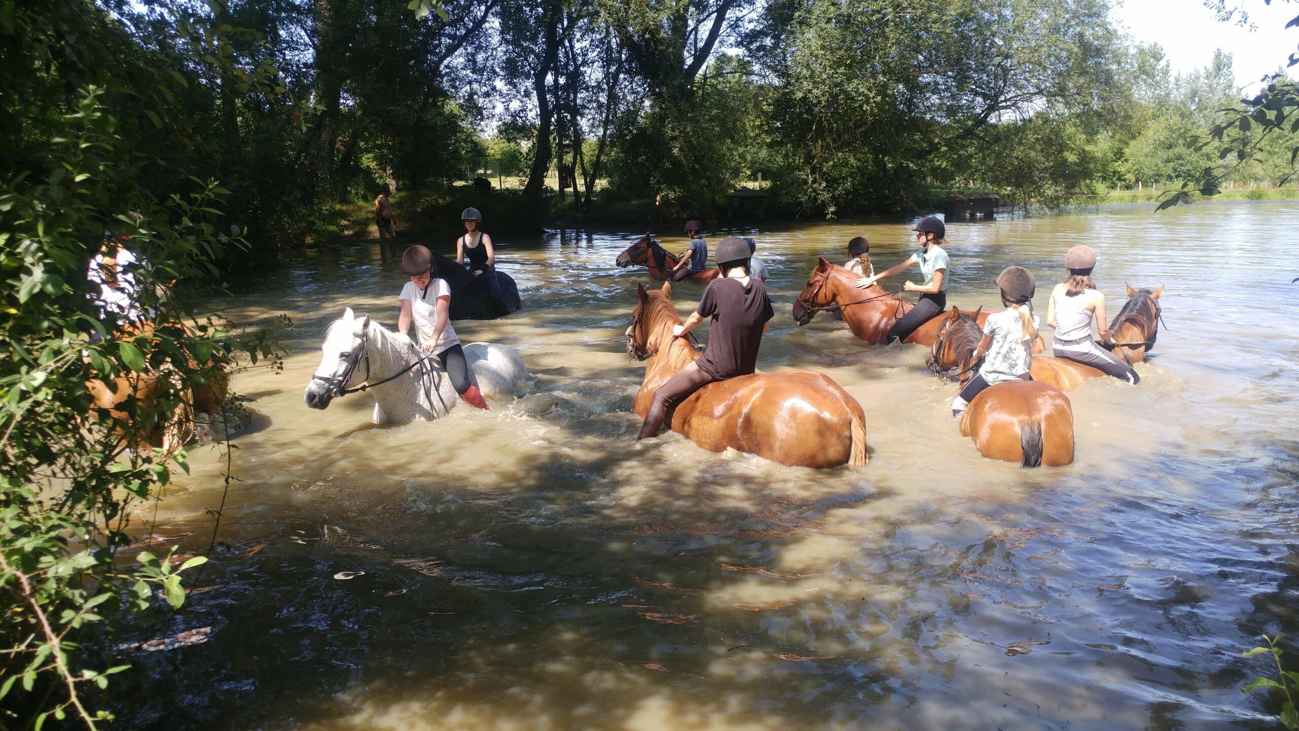 Baignade à l'étang