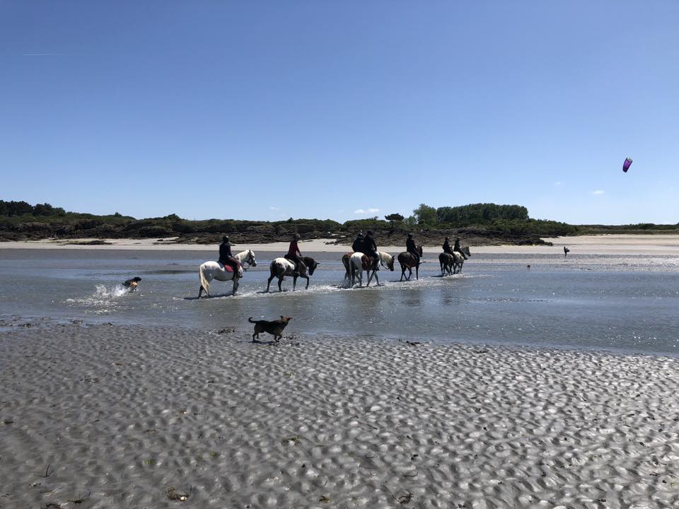 Randonnées en baie de la Fresnaye